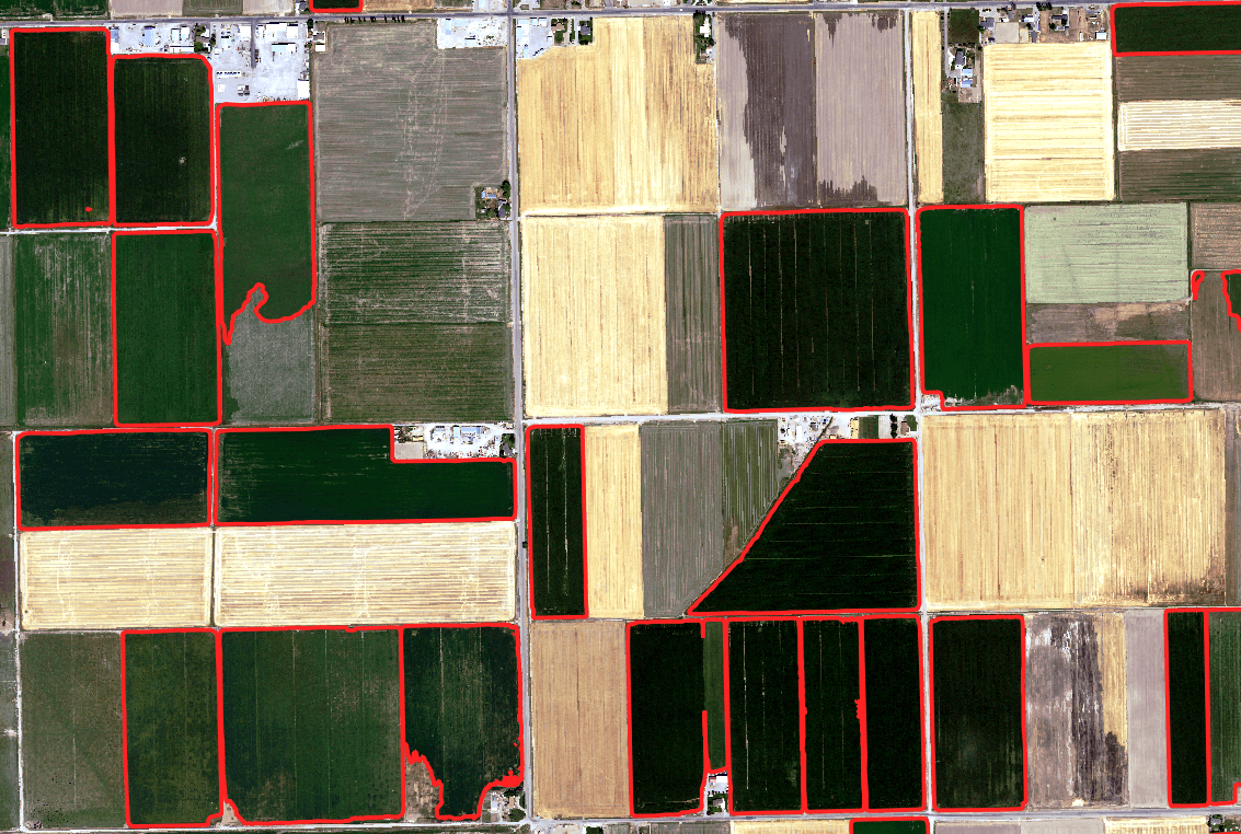 Delineating Irrigated Acreage